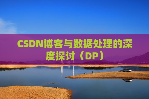 CSDN博客与数据处理的深度探讨（DP）