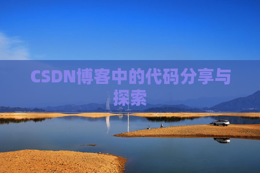 CSDN博客中的代码分享与探索