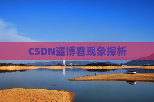 CSDN盗博客现象探析
